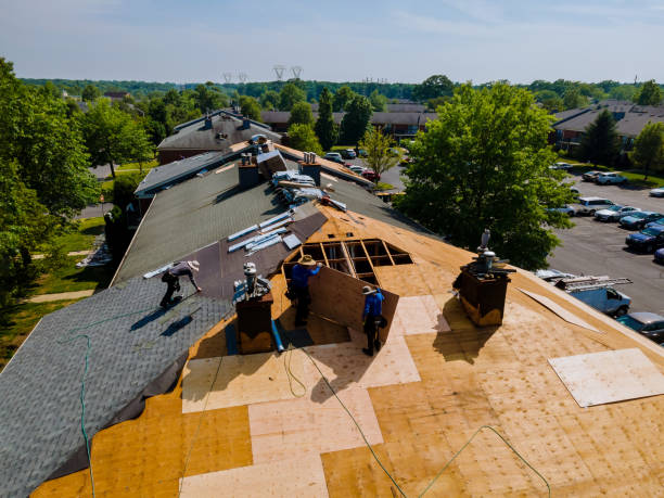 Trusted Roof Replacement service in Laurel Hill, VA - Brentwood Metal Roofing